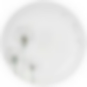 Тарелка десертная agness dandelion 21,5см 