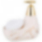 Дозатор для моющего средства Fantasy 350 мл. 11*9 см. высота=16 см. + губка 