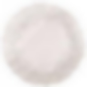 Блюдо Snow silver 28см