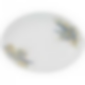 Блюдо овальное agness lavender field 34х26х3 см 