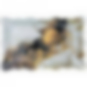 Блюдо для сервировки коллекция Marble 25*16*2 см