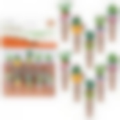 Прищепки декоративные "Кактусы". Набор из 10 шт. Общая длина 3,5см. NEW