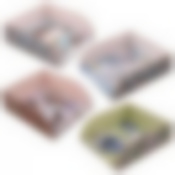 Подставка для салфеток  "Исчезающая красота". Размер 18х18,8х6 см. (горизонтальная). 4диз. NEW