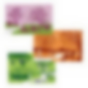 Салфетка "Парк" 39*25см 3 диз.