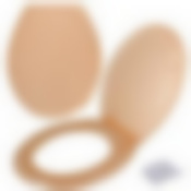 Сиденье для унитаза "Ракушка" с крышкой (бежевый) NEW