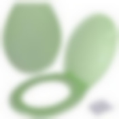 Сиденье для унитаза "Ракушка" с крышкой (зеленый) NEW