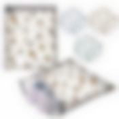 Чехол для обуви "ПУТЕШЕСТВИЯ". Размер 36*32см 3цв (молния верхн.)