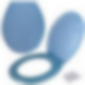 Сиденье для унитаза "Ракушка" с крышкой (голубой) NEW