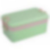 Контейнер для ланча "Комплексный обед". Размер 18х10,5х9см. Объемы 450мл и 700мл.