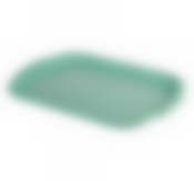 Поднос универсальный большой 33х49 см (фисташковый)