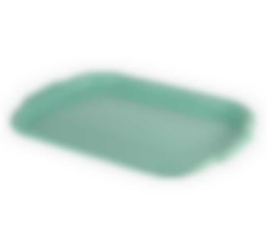 Поднос универсальный большой 33х49 см (фисташковый)