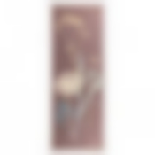 ПАННО ДЕКО-БОКСЫ ЖЕМЧУГ С ОКАНТОВКОЙ 25*70 СМ