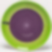 Тарелка мелкая 190 мм "АЭРОГРАФ ЛЕТНИЙ САД"