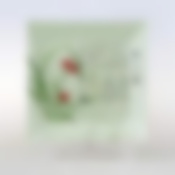 Тарелка квадратная 24.7*2.5 см