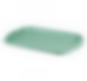 Поднос универсальный 27х39 см (Фисташковый)