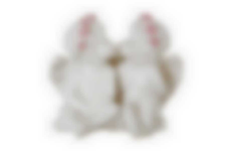 Фигурка коллекция "AMORE" 15*11*16 см.