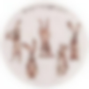 Тарелка lefard Счастье есть 20,5см 