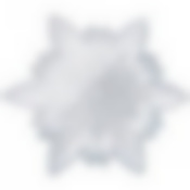 Блюдо Snow cristal silver 20см