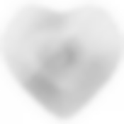 Блюдо Heart silver shiny 23см