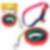 Поводок с ошейником и бубенчиком "Радуга". Размер S. NEW