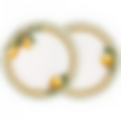 Набор тарелок закусочных lefard Лимоны 2 шт 20,5 см 