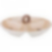 Менажница 3-х секционная Парижские коты 22*22*7,5 см. 