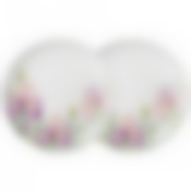 Набор тарелок закусочных lefard Irises 2 шт. 20,5 см 