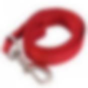 Поводок. Размеры: ширина 2,5 см, длина 120 см. NEW