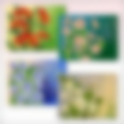 Салф п/э 46*35 см "Цветы-Фото-Графика"4 диз