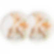 Набор тарелок обеденных lefard Sense 2 шт. 23 см 