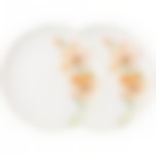 Набор тарелок обеденных lefard Sense 2 шт. 25,5 см 