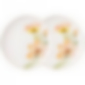 Набор тарелок закусочных lefard Sense 2 шт. 20,5 см 