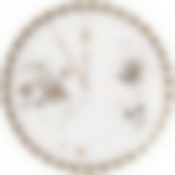 Тарелка обеденная lefard Wonderland 25,5 см 