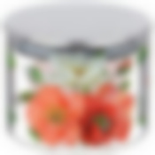 ЕМКОСТЬ ДЛЯ СЫПУЧИХ AGNESS "МАКИ", 520 МЛ БОРОСИЛИКАТНОЕ СТЕКЛО