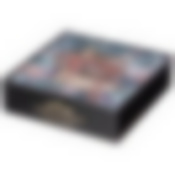 ШКАТУЛКА ДЛЯ ЧАЯ КОЛЛЕКЦИЯ "ДЖУНГЛИ" 24*24*6,5 СМ