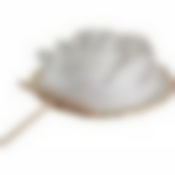 Блюдо для блинов Lefard Flower Symphony, D=27 см