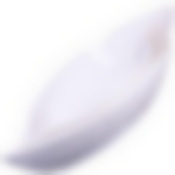 Салатник 3 предмета керамика LR