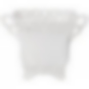 Кашпо 21*16*15 cm