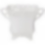 Кашпо 18.5*13.5*12.5 cm