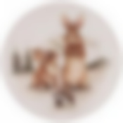 Тарелка закусочная lefard Веселые друзья 20,5 см 