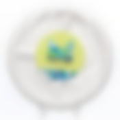 Тарелка кругл., d 225мм, h 18мм, 3-секц., бел., сахарный тростник