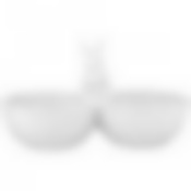 Менажница Гермелин 26*13 см. высота=14 cm 