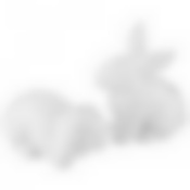 Набор для специй Кролики , 2 пр. 7*3,5*9/8*4,5*4,5 см. 