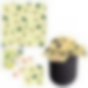 Салфетка восковая для хранения продуктов. 3 диз. Размер 19х15см.