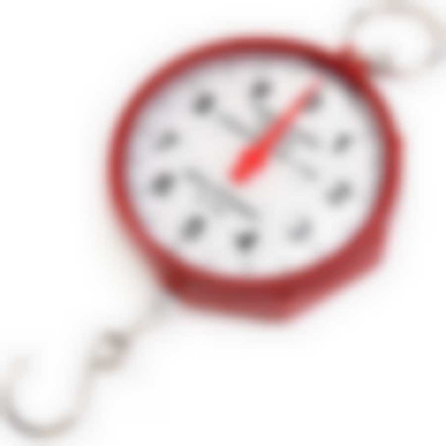 (800-01) Безмен 10кг