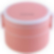 Контейнер пищевой,2 секции.MB