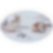 Тортовница вращающаяся диаметр=25 см.высота=2,5 см.