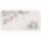 Блюдо прямоугольное lefard Райские яблочки 30,5 см 