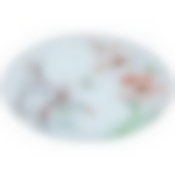 Тортовница вращающаяся диаметр=25 см.высота=2,5 см.