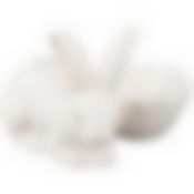 ПОДСТАВКА ПОД ЯЙЦО 8*8*6 СМ